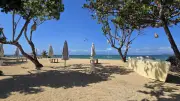 Sunny Mertasari Beach Bali with Kitesurfers and Tropical Trees