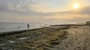 Serene Sunset at Cemagi Beach, Bali with People Enjoying the View