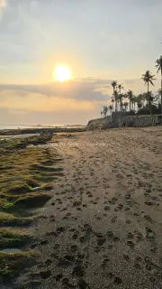 Golden Sunset over Cemagi Beach Bali with Palm Trees