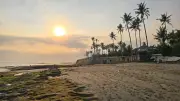 Golden Sunset Over Cemagi Beach, Bali with Palm Trees