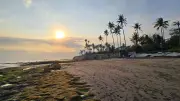 Golden Sunset over Cemagi Beach Bali with Palm Trees