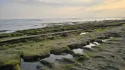Mossy Volcanic Rock Formations and Tide Pools at Cemagi Beach, Bali