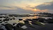 Golden Sunset over Mengening Beach, Bali with Mossy Rocks