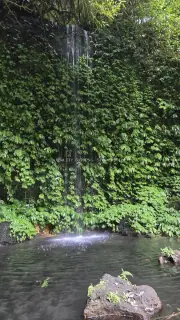 Hidden Waterfall Jungle Pool Bali Tropical Paradise