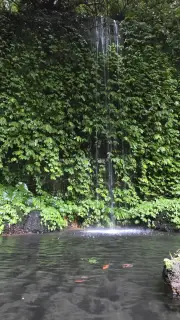 Banyu Wana Amertha Waterfall Bali Tropical Paradise
