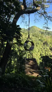 Tire Swing Jungle Adventure Bali Waterfall Trail