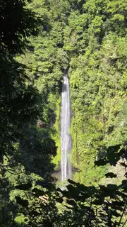 Aerial View Tropical Waterfall Lush Green Jungle Bali