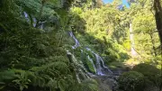 Pucak Manik Waterfall Bali Tropical Jungle Landscape
