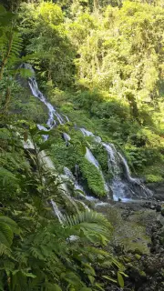 Pucak Manik Waterfall Bali Tropical Jungle Landscape