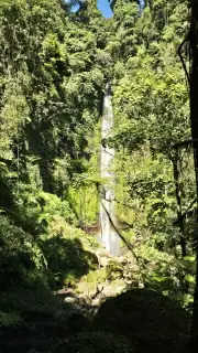 Pucak Manik Waterfall Bali Jungle Canopy Aerial View