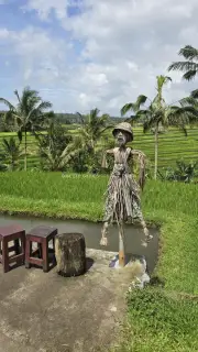Scarecrow in Jatiluwih Rice Terraces Bali Indonesia