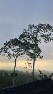 Tropical Sunrise Over Bali Mountains and Jungle Landscape