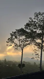 Sunrise Over Bali Mountains with Silhouetted Trees
