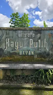 Bayan Ancient Tree Sign Bali Landmark Weathered Stone