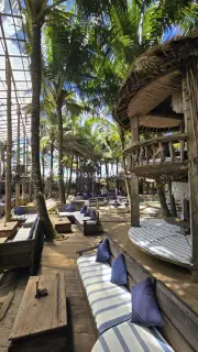 Tropical Beach Club Lounge with Palm Trees Bali
