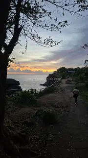 Sunset at Broken Beach Bali with Tropical Tree