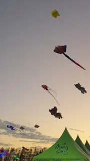 Bali Kite Festival B-Roll Footage at Sunset with Colorful Kites