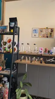 Kopi Konnichiwa Cafe Interior B-Roll Footage with Quirky Merchandise Display