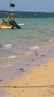 Bali Sanur Beach B-roll Footage with Traditional Jukung Boat and Bird