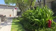 Bali Beachfront Restaurant and Ocean View B-roll Footage