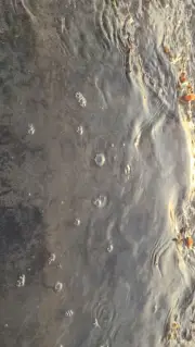 Golden Hour Sunset Beach Waves B-Roll Footage at Mejan Stone Beach
