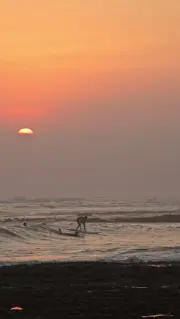 Bali Sunset Surfing B-roll Footage at Pererenan Beach