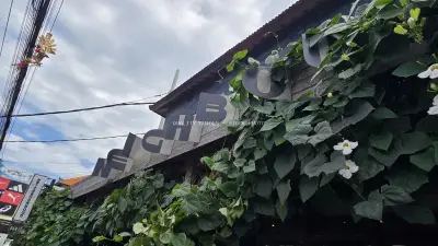 Neighbourhood Food Cafe Exterior in Bali with Tropical Vines - stock photo