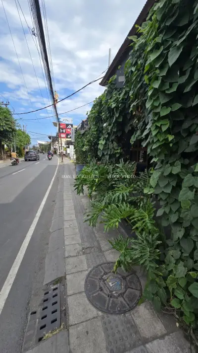 Vibrant Bali Street Scene with Lush Greenery and Sidewalk - stock photo
