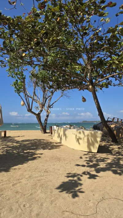 Sunny Mertasari Beach Bali with Tropical Trees and Ocean View - stock photo
