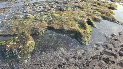 Textured Tide Pools and Volcanic Sand at Cemagi Beach, Bali - stock photo
