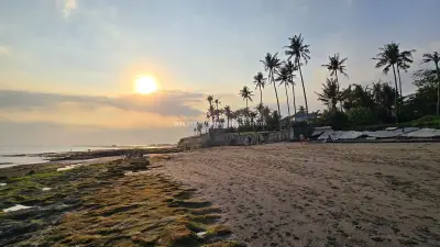 Golden Sunset over Cemagi Beach Bali with Palm Trees - stock photo