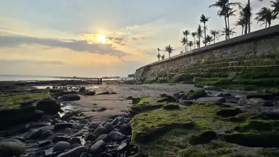 Cemagi Beach Sunset in Bali with Mossy Rocks and Palm Trees - stock photo