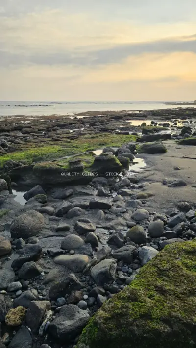 Serene Cemagi Beach at Low Tide with Mossy Rocks and Golden Sky - stock photo