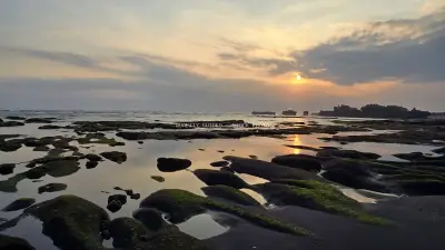 Golden Sunset over Mengening Beach, Bali with Mossy Rocks - stock photo