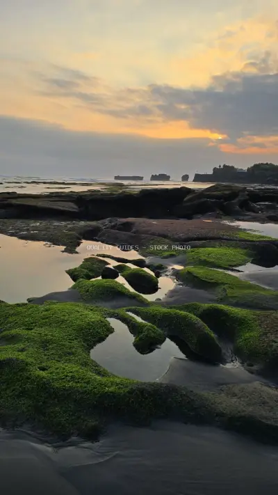Bali Sunset at Mengening Beach with Mossy Rocks - stock photo