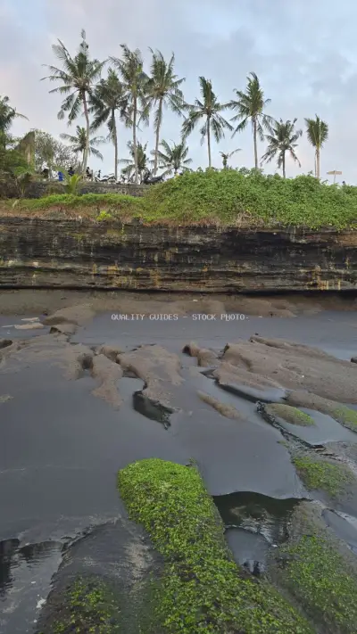 Mengening Beach Bali: Volcanic Sand, Mossy Rocks, and Palm Trees - stock photo