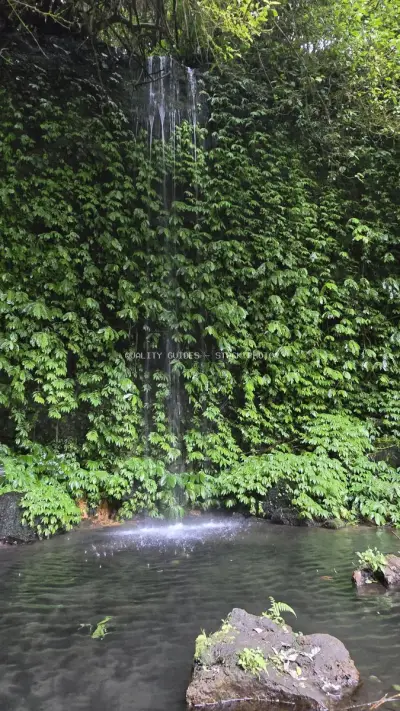 Hidden Waterfall Jungle Pool Bali Tropical Paradise - stock photo