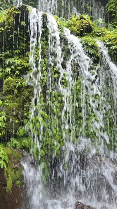 Banyu Wana Amertha Waterfall Bali Tropical Cascade - stock photo