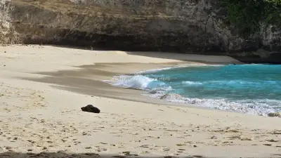 Kelingking Beach Bali Turquoise Waters Dramatic Cliffs - stock photo