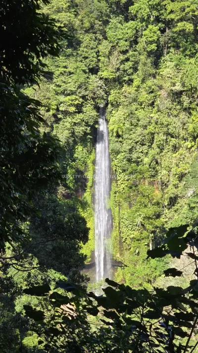 Aerial View Tropical Waterfall Lush Green Jungle Bali - stock photo