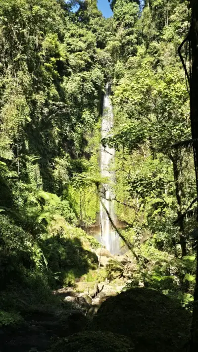 Pucak Manik Waterfall Bali Jungle Canopy Aerial View - stock photo