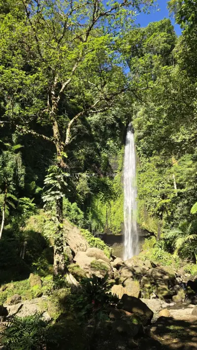 Pucak Manik Waterfall Bali Tropical Jungle Landscape - stock photo
