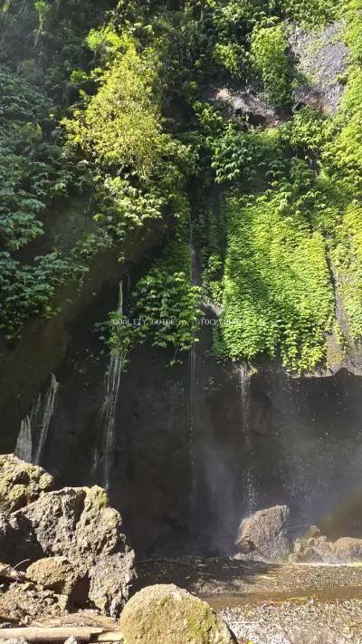 Lush Waterfall in Tropical Jungle Gorge Bali - stock photo