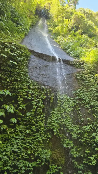 Pucak Manik Waterfall Bali Tropical Jungle Cascade - stock photo