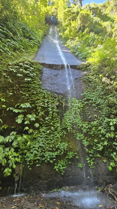 Pucak Manik Waterfall Bali Lush Jungle Landscape - stock photo