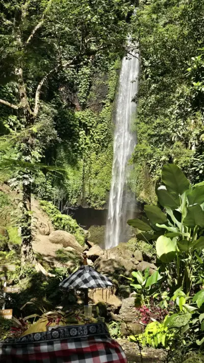 Tropical Waterfall Bali Jungle Landscape with Visitor - stock photo