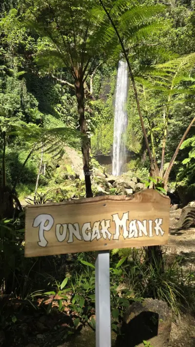 Pungak Manik Waterfall Sign Bali Tropical Jungle - stock photo
