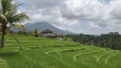 Jatiluwih Rice Terraces Bali Mountain Landscape - stock photo