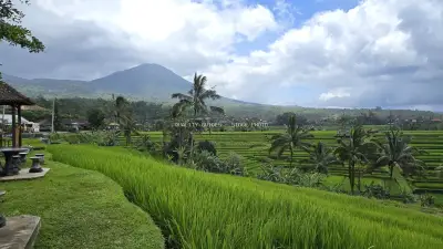 Jatiluwih Rice Terraces Bali Mountain Landscape View - stock photo