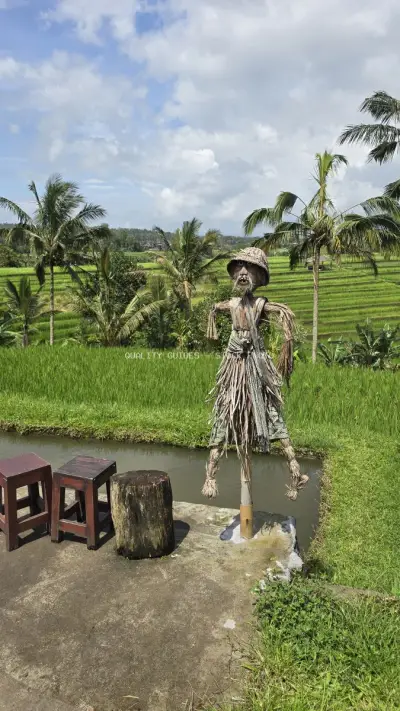 Scarecrow in Jatiluwih Rice Terraces Bali Indonesia - stock photo